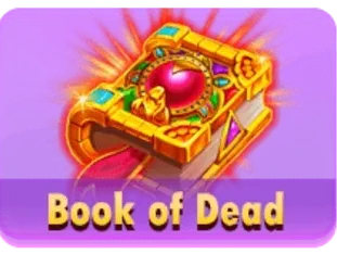 Book Of Dead icon